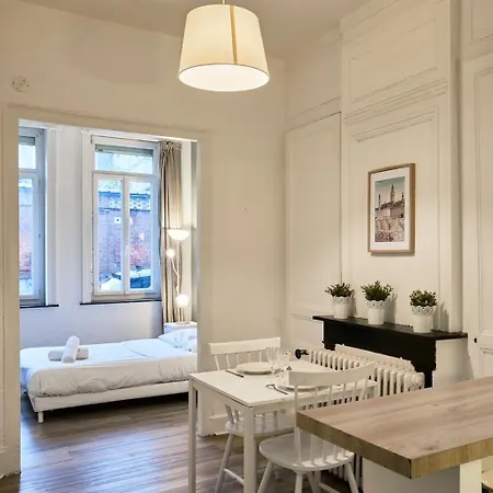 Apartmán Centre - Large Functional Lille