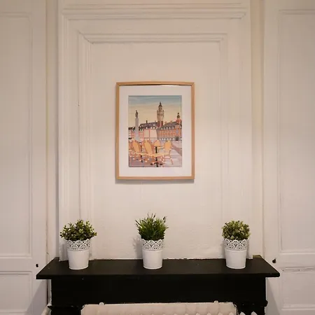 Centre - Large Functional Apartmán Lille